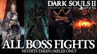 Dark Souls 2  All Boss Fights amp All Endings No Damage [upl. by Quenna332]