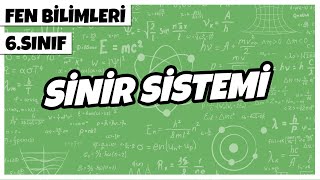 6 Sınıf Fen Bilimleri  Sinir Sistemi  2022 [upl. by Annalise242]