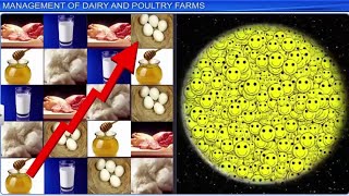 CBSE Class 12 Biology  Strategies for Enhancement In Food Production  Full Chapter  By Shiksha [upl. by Sunshine220]