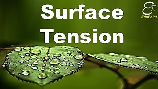 🔴 Surface Tension  for Class 11 in HINDI [upl. by Asyl218]