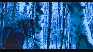 Terrifying Creatures Sighted In Tennessee Deep Woods [upl. by Faustina]