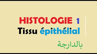 cours HISTOLOGIE Ep 1  Tissu épithélial [upl. by Felske738]