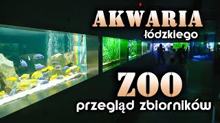 AKWARIA łódzkiego ZOO  przegląd zbiorników [upl. by Rochester951]