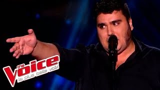 Jacques Brel  Ces gens là  Yoann Launay  The Voice France 2015  Blind Audition [upl. by Ruelle964]