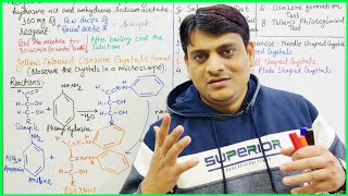 Part 6 Osazone Formation Test with Reactions  Test for Carbohydrates [upl. by Ias]