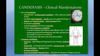 Microbiology 585 b Candida Candidiasis fungus fungi mycosis vulvoVaginitis intertrigo ID reaction [upl. by Siobhan900]