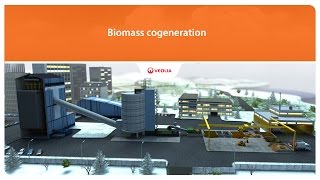 Cogeneration biomass  Veolia [upl. by Ayna]