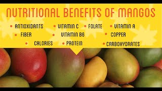 Nutrition 101  Understanding the Basics [upl. by Wadlinger]