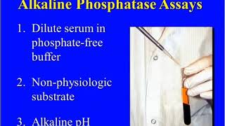 What is Alkaline Phosphatase and Why is it Important [upl. by Affrica]