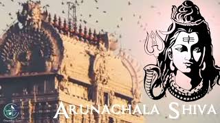 Arunachala Shiva  Shiva Bhajans  Sai Bhajans [upl. by Einnig]