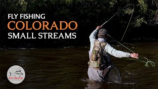 Colorado Fly Fishing  Small CREEK Trout Fishing [upl. by Kissel]