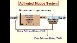 Activated Sludge  Activated Sludge Process  Industrial Wastewater Treatment Plant [upl. by Phenice]