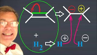 Chimie Organique Réactions Importantes [upl. by Mcgurn]