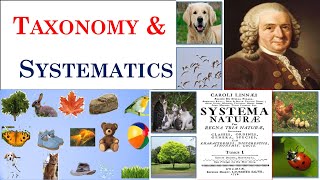 Taxonomy  Systematics  Carolus Linnaeus  Part 1 [upl. by Mak]