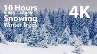 4K 10 hours  Snowing on Winter Trees  relaxing gentle calming [upl. by Noiek923]