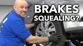 Squealing Brakes Whats That Noise in Your Car Truck or SUV [upl. by Pedrick]