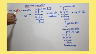 Osazone of DGlucose and DFructose [upl. by Koziel978]