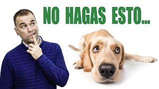 9 Cosas que tu PERRO ODIA de TI [upl. by Gronseth]