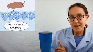 Science Moms Guide to Water Part 2  Surface Tension [upl. by Bedwell]