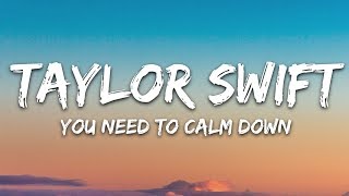 Taylor Swift  You Need To Calm Down Lyrics [upl. by Aihcats]