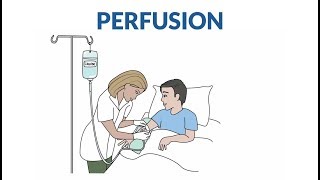 Comment se passe une perfusion [upl. by Igor220]