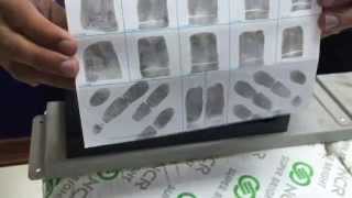 How to Roll Ink Fingerprints [upl. by Maidel]