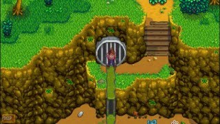 How To Unlock The Sewers  Stardew Valley [upl. by Benedetto]