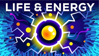 Why Are You Alive – Life Energy amp ATP [upl. by Watkin466]