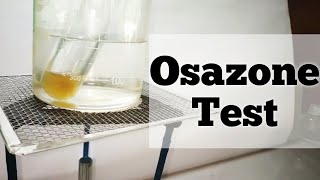 Osazone Test  for reducing sugars  Biochemistry practical [upl. by Groscr939]