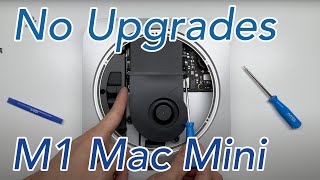 M1 Mac Mini Teardown Disassembly 2020 M1 closeup in description [upl. by Eisaj589]