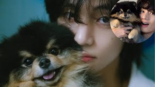 BTSs V Announces The Passing Of His Dog Yeontan [upl. by Nosnek601]