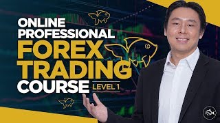 Introducing the Online Professional Forex Trading Course by Adam Khoo [upl. by Novat160]