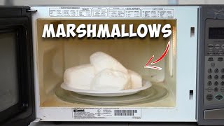 Marshmallows in Microwave Experiment [upl. by Amos]