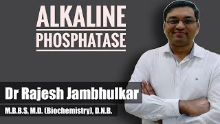 Alkaline phosphatase [upl. by Schouten]