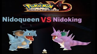 Pokemon XD Nidoking VS Nidoqueen [upl. by Hutchins]