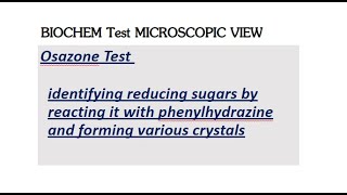 Osazone Test BII Microscopic view [upl. by Aleciram634]