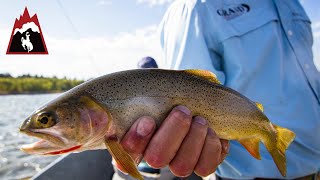 Fly Fishing in Jackson Hole [upl. by Attener]