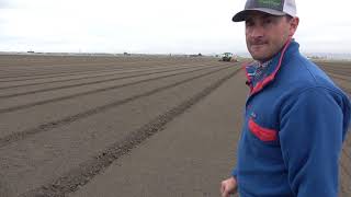 Lettuce Production in the Salinas Valley [upl. by Llennoj]