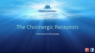 The Cholinergic Receptors [upl. by Zerat]