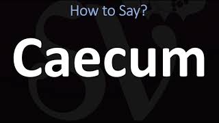 How to Pronounce Caecum CORRECTLY [upl. by Aleusnoc453]