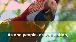 National Anthem of Mauritius  quotMotherlandquot [upl. by Zinah]