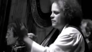 Andreas Vollenweider  Morgana Palace Live [upl. by Yrennalf]