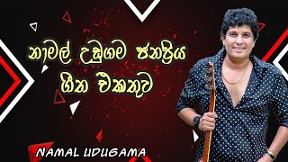 Namal Udugama Best Song Collection [upl. by Bergeman]