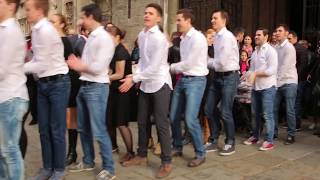 Flashmob  Marry You  Heiratsantrag Stephansplatz Wien [upl. by Atilol]