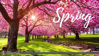 Classical Music for Spring [upl. by Carce815]