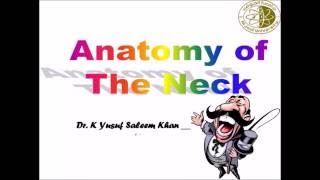 Anatomy  NECK  Complete  Dr Yusuf [upl. by Aliak]