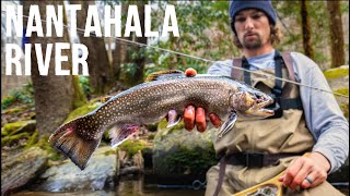 Fly Fishing NC’s BEST Trout Stream  The Nantahala River [upl. by Aix213]