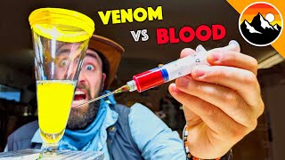 Human Blood vs Snake Venom [upl. by Celia]