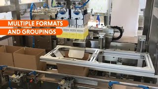 American Box PickandPlace Automatic Packaging Machine [upl. by Otrebla351]