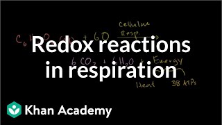 Oxidation Reactions in Everyday Life [upl. by Assertal]